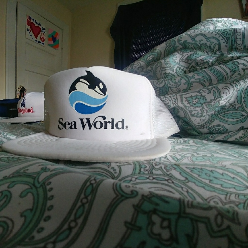 Vintage SeaWorld snapback 90's